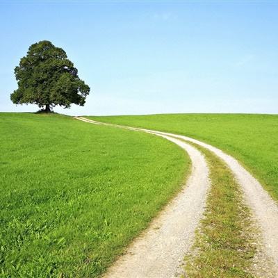 综合体育app官方入口下载