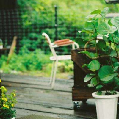 江南网页入口官方正版