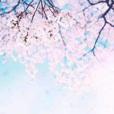 天博体育官方平台入口app下载