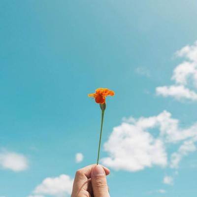 万博ManBetX登录网页版app下载