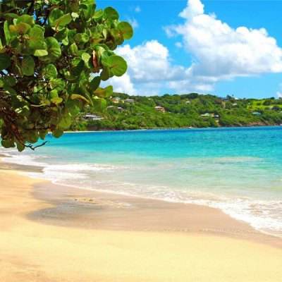 BOB·体育综合APP下载