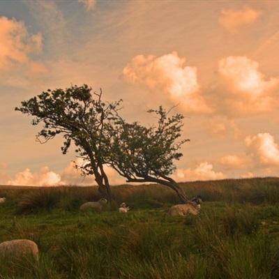 49图库一资料中心