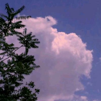 AOA体育官方入口