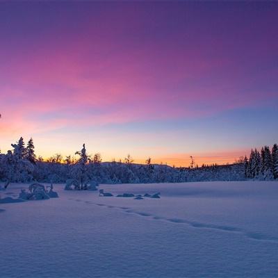赌博pg电子平台