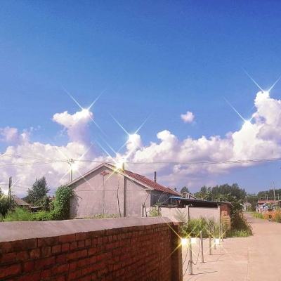 中欧体育app下载入口