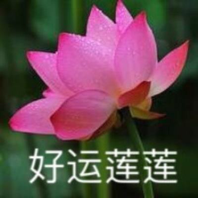 AOA体育登录入口app下载